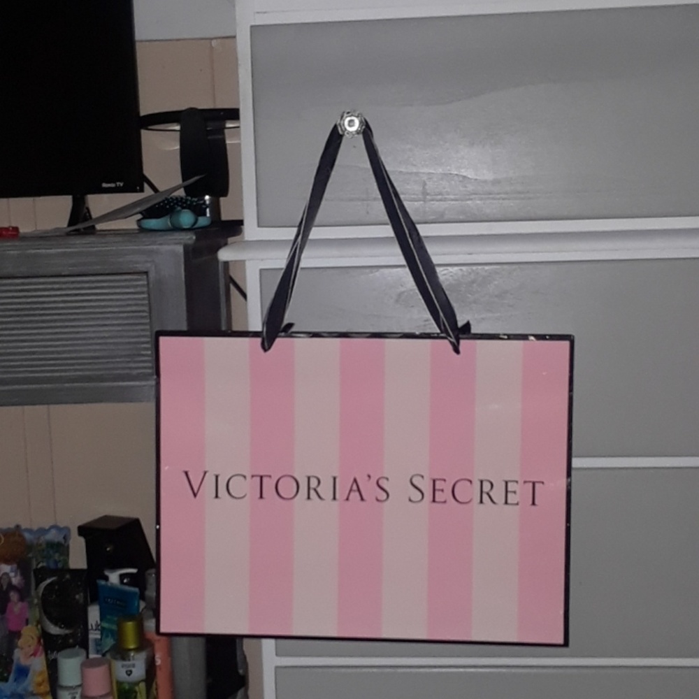 VS PINK shopping bags